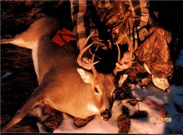 EDbuck1WB.jpg (92646 bytes)