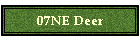 07NE Deer