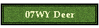 07WY Deer