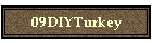 09DIYTurkey