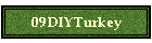 09DIYTurkey