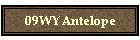 09WYAntelope