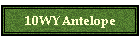 10WYAntelope