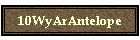 10WyArAntelope