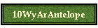 10WyArAntelope