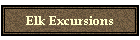 Elk Excursions