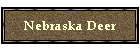 Nebraska Deer