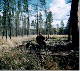 john02elkS.jpg (33231 bytes)
