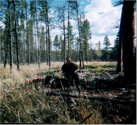 john02elkW.jpg (77594 bytes)